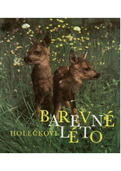 Barevné léto